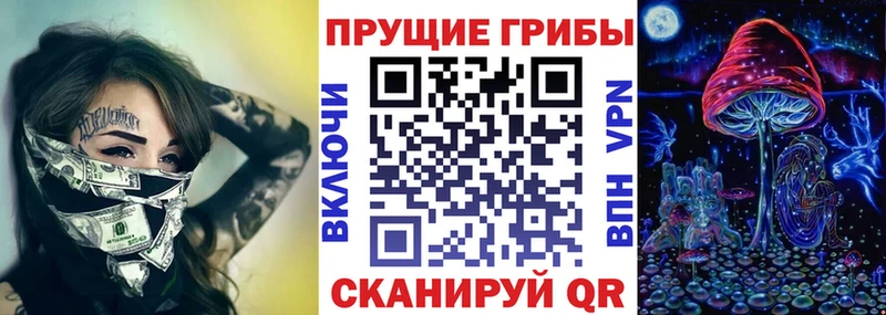 Псилоцибиновые грибы Cubensis  Купить  Бабушкин 